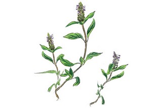 你们都是最美的春天诗歌（你们是最美的花朵）