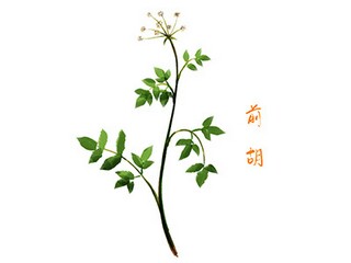新年微信朋友圈祝福语（适合发微信朋友圈的新年祝福语）