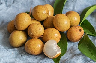 学习的诗句名言