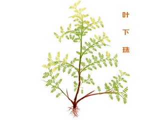 表达心里难受的句子（表达心里难受的句子大全）