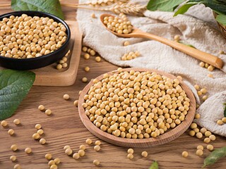 以父亲节为主题的活动策划方案（以父亲节为主题的活动策划方案怎么写）