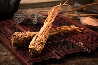 形容友情的优美句子_形容友情的佳句