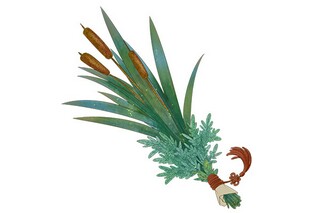 霜降节气治愈祝福语（朋友圈霜降节气祝福的词语）