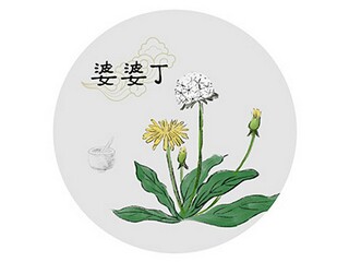 阳光路上的作文_阳光路上为题作文700字