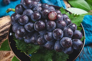 新年赞美诗_新年赞美诗大全