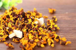 《陋室铭》阅读试题及答案