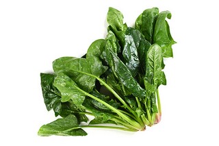 《石钟山记》简析