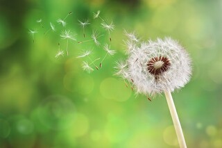 端午节的风俗（哪部作品没有记载端午节的风俗）