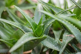 写给大学同学的毕业赠言_给同学的毕业赠言一封信