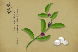 景色作文（夏天的景色作文）