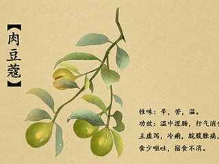 语文《只有一个地球》公开课教学设计_只有一个地球优质课教学视频