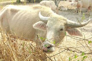 写亲情最珍贵作文（写亲情最珍贵作文600字）