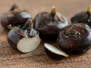 横塘原文翻译及赏析（横塘解析）