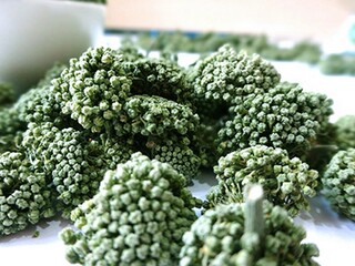助学金申请书的格式范文（助学金申请书格式范文模板）