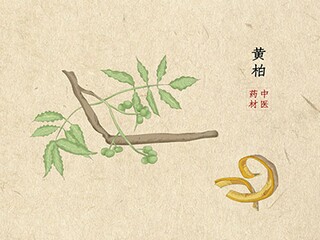 描写鸟的诗句_描写鸟的诗句一到二年纪