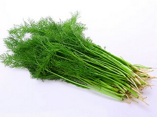 春节过年对联（春节过年对联怎么写）