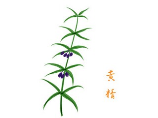 科技让生活更美好作文_科技改变生活作文500字