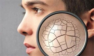 父母作文（读懂父母作文）