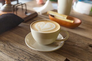 小学语文《草虫的村落》说课稿（小学语文《草虫的村落》说课稿设计）