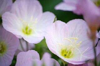 这个夏天有点热的文案_这个夏天有点热的文案图片