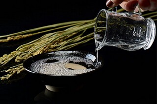 主持人开场活跃气氛的开场白（主持人开场万能金句）