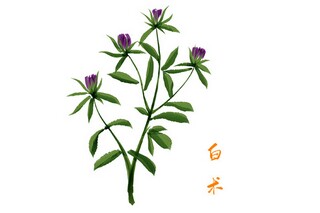 描写桃花的成语和名句_描写桃花的词语有什么