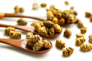 写蝉的诗句（写蝉的诗）