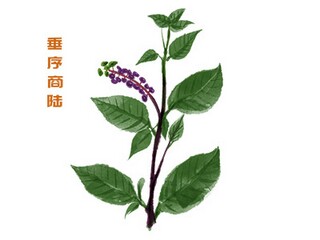 《桃花源诗》陶渊明的诗（拓展阅读陶渊明的《桃花源诗》）