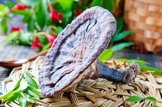 赞美铁路的诗歌（赞美铁路的诗歌朗诵）