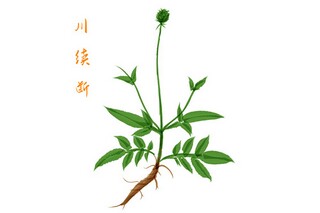 《春中田园作》王维古诗鉴赏（春中田园作古诗解析）