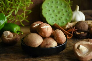 春季美景作文300字_春季美景作文300字三年级