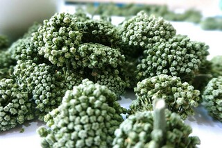 生活中的榜样作文700字_生活中的榜样作文600字