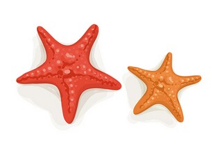 写家乡景物的小学作文（写家乡景色的作文200~300字左右）