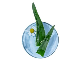 五年级优秀作文300字_二十年后的家乡五年级优秀作文300字