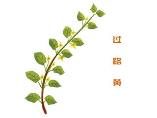 鹧鸪天·建康上元作原文翻译及赏析（鹧鸪天身健在）