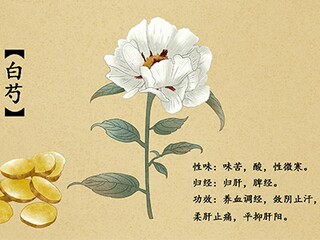 歌颂母爱作文（歌颂母爱作文600字初中）