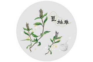 清明节的古诗句（清明节的古诗词）