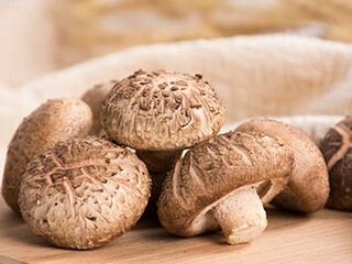 赞美抒情作文（抒情优美作文）