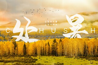爱家乡作文（爱家乡作文400字）