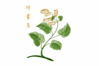 公司中秋节简短的文案（公司中秋节发朋友圈的简短句子）