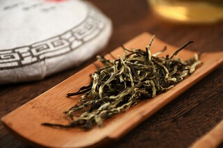 赞颂心灵春天的诗歌（赞颂心灵春天的诗歌有哪些）