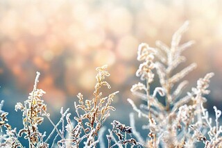 简单货运车辆租赁合同（货车租赁合同书）