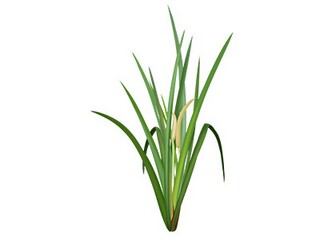 于娟日记《此生未完成》读后感