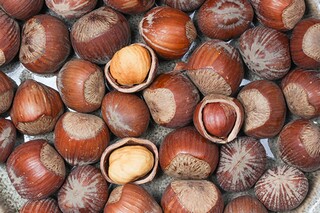 家乡的巨变作文1500字_家乡的巨变2000字