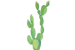 感恩节宣传感人文案_感恩节宣传文字