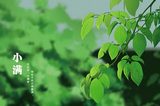 长歌行原文翻译及赏析（《长歌行》的译文）