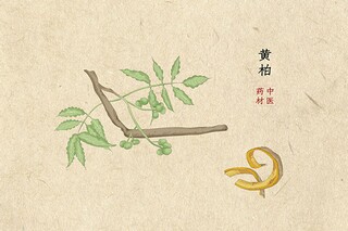 碌碌无才成语（碌碌无为 成语）