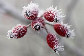 升职感言简短语（升职感言简短精辟的句子）