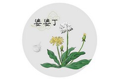 工程开工仪式发言稿_工程开工典礼简短致辞