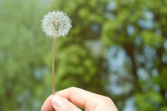 重症监护室护理工作计划_护理质量安全的工作计划